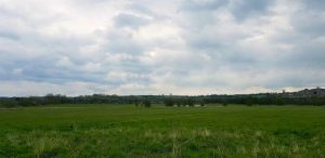 Tingdene Savannah Lodge, photo 5